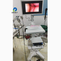 EURVET Veterinary Medical 360 Degree Joystick Rotation Video Borescope Optics Instruments 5.8MM Outer Diameter 2.0MM Working