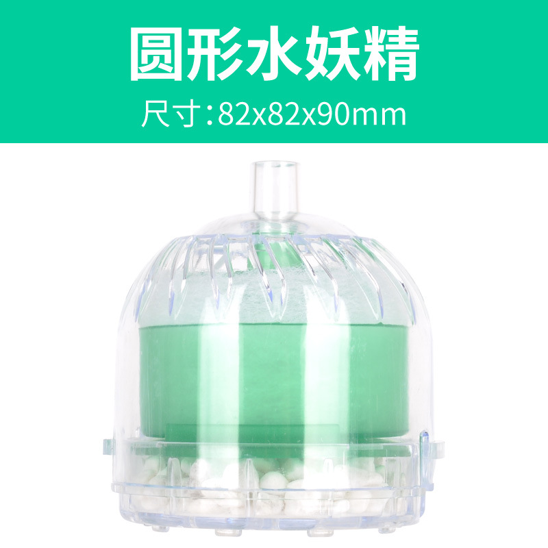 Vert féérique rond pour l'eau