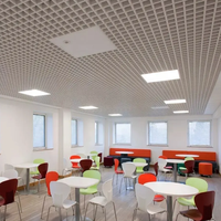 Plafonnier métallique en aluminium respectueux de l'environnement, 600x600, 10 pièces, plafond, respectueux de l'environnement