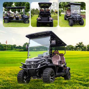 En kaliteli Off-road 2, 4, 6 kişilik Golf arabası/buggy satılık lityum pil gücü Ce sertifikası ile 3500w - Product Image 4