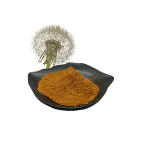 Ingredient 5% Flavonoids 10:1 20:1 Dandelion Root Extract Powder