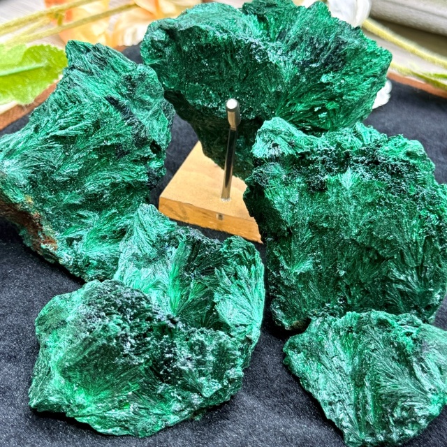 New Arrival Natural Velvet Malachite Raw Stone Specimen Green Rainforest Free Form Mineral Collection Crystal Raw Fashion Trend