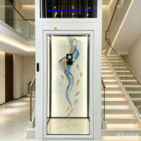 Fabrikneuer Outdoor-Mini-Aufzug zum günstigen Preis: 2-Personen-Kleinaufzug für Zuhause im modernen Design mit CE-Zertifikat