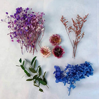 Bunga Abadi Seri Babys Breath Hydrangea Aneka Ragam Perlengkapan Kerajinan DIY Lilin Kipas Lipat Dekorasi Resin Epoksi Kering