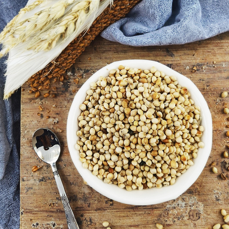 High Quality Millet Grain From China