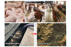 Procesamiento automático de estiércol animal, separador de estiércol de vaca, máquina de deshidratación, separador de líquido sólido de estiércol de caballo - Product Image 3