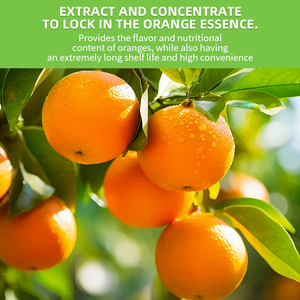 100%天然浓缩橙汁果粉水果饮料风味橙粉有机橙汁粉 - Product Image 4