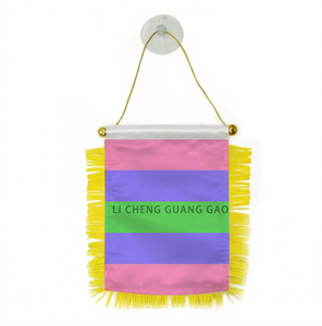 Drapeau de voiture à ventouse suspendu, série arc-en-ciel, design <span class=keywords><strong>LGBT</strong></span> (Lindsay Design), mini-drapeau transgenre personnalisé, best-seller - Product Image 4