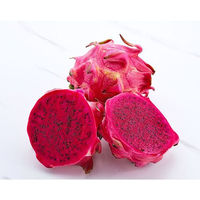Poudre de jus de fruit du dragon séchée par pulvérisation, soluble dans l'eau, extrait de pitaya rouge