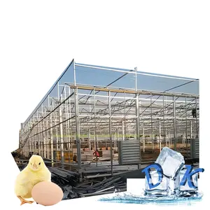 Progetto chiavi in mano serra di vetro commerciale con sistema di irrigazione idroponica per il cetriolo fragola pomodoro pepe