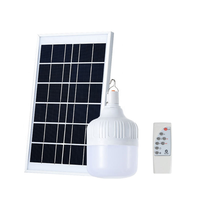 Ampoule solaire étanche IP65 rechargeable pour jardin, utilisation extérieure/intérieure d'urgence, lumière blanche 6000K, 100 lumens, petite taille