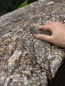 SHIHUI piedra Natural de alta calidad Breccia Dalema Rosso Di Masso Ceppo mármol Popular losas de mármol rojo para proyectos al aire libre - Product Image 2