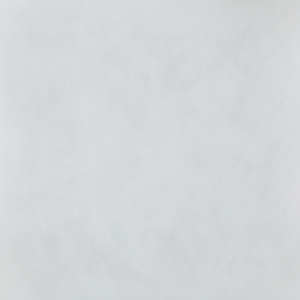 Panneau mural Anti-Fungus Installation murale sur le mur existant Feuille décorative murale - Product Image 1