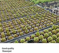 Pot Tanaman Plastik Fleksibel Anti Guncangan dengan Lubang Drainase, Baki Semai Plastik untuk Penanaman Benih