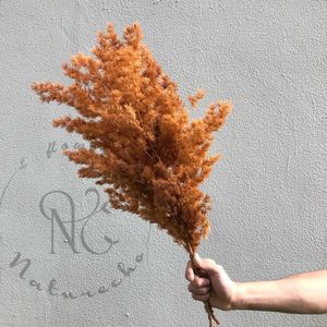 <span class=keywords><strong>Helechos</strong></span> de Ming Secos Premium, Myrioeladus, Decoración Ecológica Hecha a Mano para el Año Nuevo Chino, Navidad y Decoración del Hogar - Product Image 6