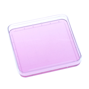 Boîtes de Pétri carrées transparentes jetables XZ LAB pour la culture cellulaire en laboratoire, en plastique, 60x15mm - Product Image 2