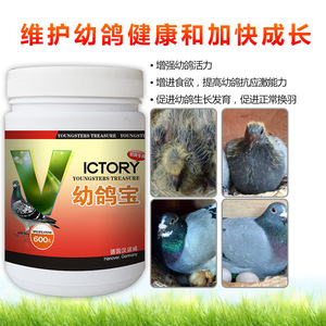 Wholesale Racing <strong>Pigeon</strong> <strong>Supplements</strong> Custom Flavor Vitamins Immune Improvement Fatigue Resistance Feed Powder - Product Image 3