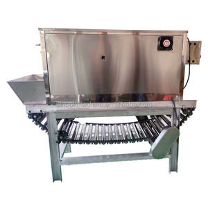 Petite machine à éplucher les oignons et l'ail à sec avec compresseur d'air pour les petites entreprises, avec chaîne - Product Image 1