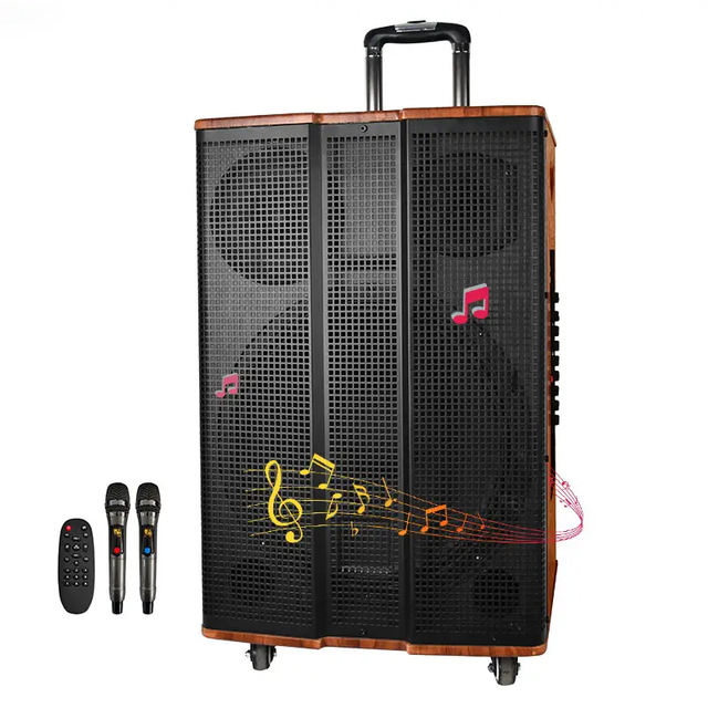 Temeisheng TMS-1528 15 Inch Wooden Cabinet Wireless bluetooth Outdoor Portable Trolley Wood Speaker