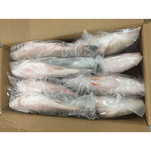 سمك التونة الحمراء المجمدة بسعر منخفض، سعر الكيلوغرام للسمك الكامل، تجارة المأكولات البحرية في السوق - Product Image 3