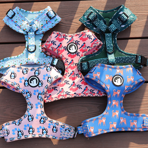 Arnés Personalizado para Perro OKEYPETS, Reflectante, Reversible, de Liberación Rápida, Acolchado, Resistente, de Neopreno y Poliéster - Product Image 3