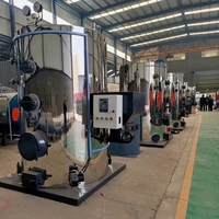 Générateur de vapeur vertical à biomasse LHG 1000 kg/h pour les processus de fermentation et de distillation, directement de l'usine