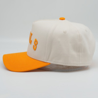 Hoed Letter Custom Logo Geborduurde Baseball Cap Twee Tone Sport Baseballpet Geborduurde Snapback Baseball Caps Voor Mannen