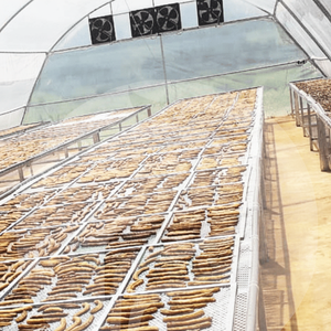 Película de invernadero para secar productos agrícolas Secado de setas, frutas en rodajas y verduras precio al por mayor - Product Image 1