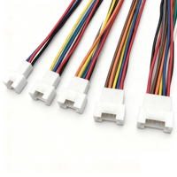 Konektor OEM/ODM JST PHB2.0 2 3 4 5 6 8 10 Pin Kabel Harness Otomotif Kustom