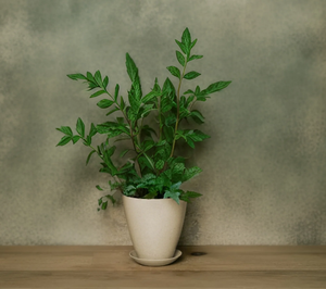 Pionera-<span class=keywords><strong>maceta</strong></span> de 14cm de alta calidad para plantas, <span class=keywords><strong>maceta</strong></span> moderna decorativa de fibra ecológica para interiores y exteriores - Product Image 5