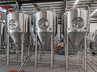 Cuve de fermentation de bière en acier inoxydable à double paroi avec trappe latérale, 1000L, 2000L, 3000L