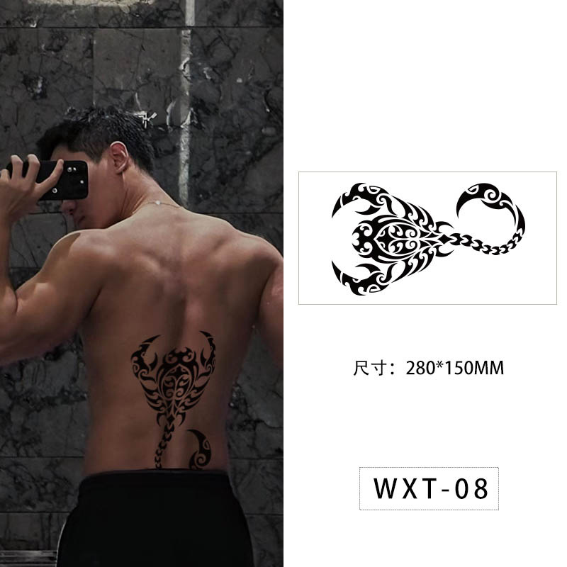WXT-008    ดับบลิวเอ็กซ์ที-008