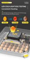 WONEGG NOUVEAU Incubateur Commercial Automatique pour 48 Œufs de Caille, Canard, Oie - Pièces Détachées