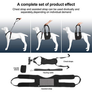 ชุดสายรัดพยุงยกสุนัข,ชุดช่วยพยุงสุนัขช่วยเดินฟื้นฟูสมรรถภาพพร้อมสายรัดหน้าอกแบบปรับได้ - Product Image 4