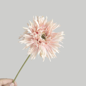 Simulation ins style coréen branche unique brossé gerbera marguerite simple décoration de la maison simulation petit frais Frangipanier gebera - Product Image 6