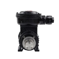 Pompe à engrenages à entraînement magnétique 380V AC, mini pompe à engrenages sans fuite pour le transfert de liquides à haute viscosité