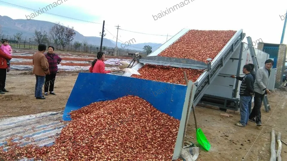 Large Scale Automatic Drying Machine Equipment Leaves Dehydrated Flowers Rosehip Sunflower Seeds Dryer