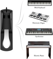 Professional Keyboard/digital Piano Premium Sustain Foot Pedal Synthesizer Extension Pedal for Electronic Piano and Organ