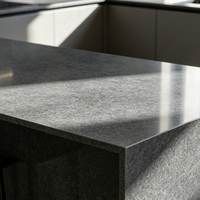 Dalle de granit noir américain UNION Premium, moderne, polie, en pierre naturelle, découpée sur mesure, écologique, légère, pour salle de bain et extérieur.