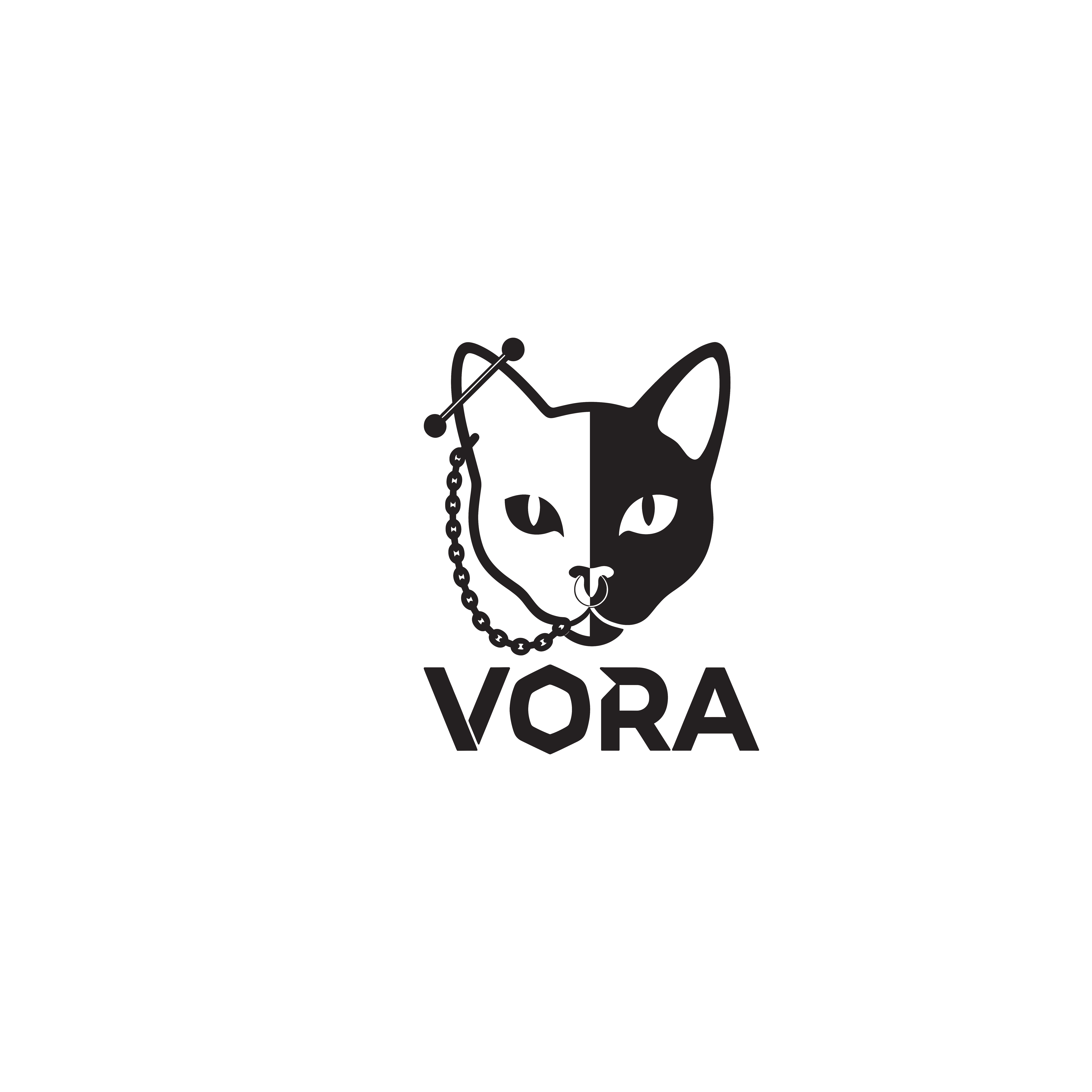 Dongguan Vora Jewelry Limited logo