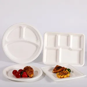Factory Cheap Disposable Biodegradable Compostable Bagasse Dinner Paper Plates
