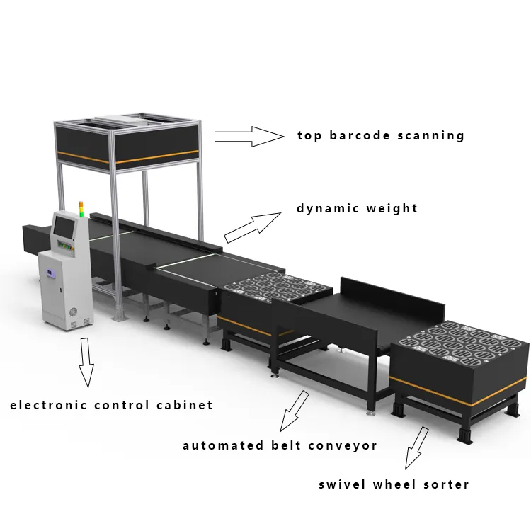 Equipo de medición y pesaje de clasificación robótica Máquina clasificadora logística completamente automática