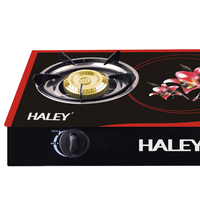 HALEY Pabrik Langsung Grosir Kompor Gas Meja 2 Tungku Desain Kaca Floral untuk Distributor Grosir Peralatan Rumah Tangga
