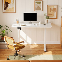 Bureau d'ordinateur électrique réglable en hauteur PRORIALS, ergonomique, moderne, à moteur unique, convertible pour le télétravail, en métal