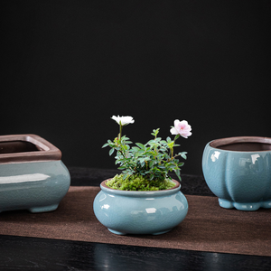 Maceta de Cerámica Creativa de Arcilla Morada, Maceta Minimalista Transpirable para Plantas Verdes de Escritorio, Múltiples Estilos Disponibles - Product Image 1