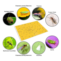 Panneau de piège à mouches et insectes en gros Feuille de colle sèche Piège à mouches des fruits