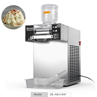 110V et 220V Commercial électrique automatique flocon de neige glace rasoir Machine pour lait neige Bingsu Snack Bar crème glacée boutique utilisation