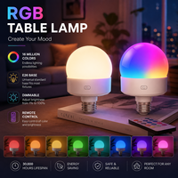 Lampe de table à ampoule globe E26 colorée, rechargeable, avec télécommande, lumière d'ambiance pour armoires de cuisine, hôtels, entrepôts