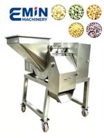 EMIN Voedselveilige Gemotoriseerde Snijmachine met 4000W Motor, Multifunctioneel voor Fruit- en Groenteverwerking