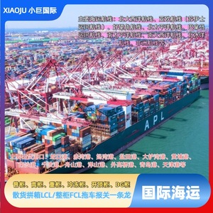 Little Giant International, transport maritime international, fret LCL FCL, expédition de conteneurs, itinéraires mondiaux, dédouanement - Product Image 1